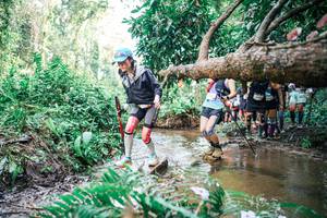 BIB: 
                            <button type="button" onclick="openModal(25514820)" class="btn btn-primary btn-sm float-right btn-popup" data-toggle="modal" data-target=".modal-high-quality">
                        <i class="fas fa-shopping-cart"></i> Add to Cart
                    </button>
                                            <button type="button" onclick="isThisMe(25514820, true)" class="btn btn-success btn-sm float-right btn-popup btn-isme hidden" data-toggle="tooltip" data-placement="bottom" title="นี่คือรูปของคุณใช่ไหม คลิกที่นี่เพื่อเอาเข้าอัลบั้ม">
                        <i class="fas fa-plus"></i> Add to album
                    </button>
                    <button type="button" onclick="isThisMe(25514820, false)" class="btn btn-warning btn-sm float-right btn-popup btn-isnotme hidden">
                        <i class="fas fa-ban"></i> Remove from album
                    </button>